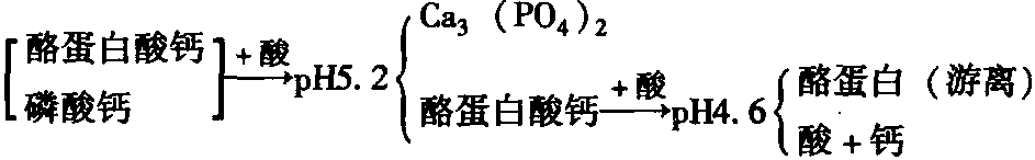 二、蛋白质